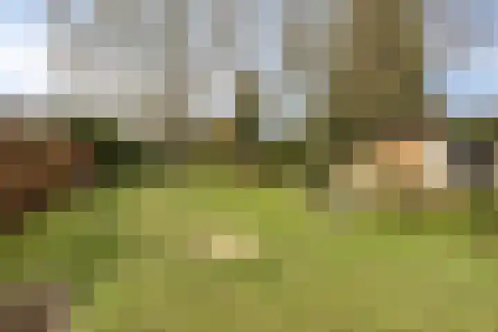 Julianalaan 9 Beek thumbnail 43