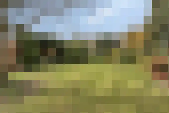 Julianalaan 9 Beek thumbnail 44