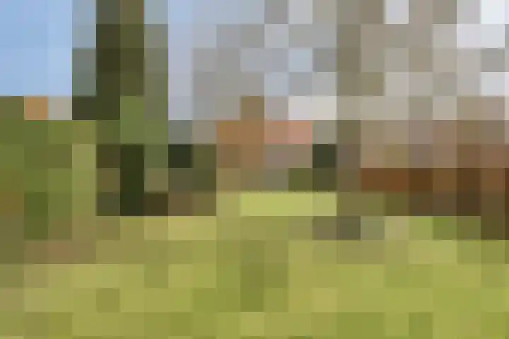 Julianalaan 9 Beek thumbnail 45
