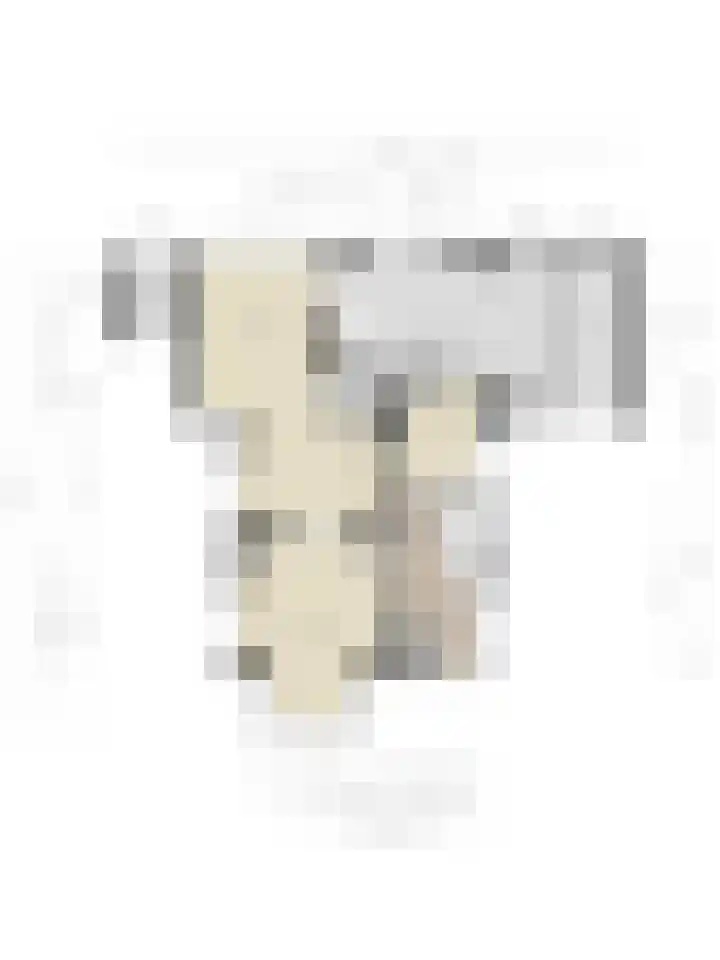 Julianalaan 9 Beek thumbnail 47