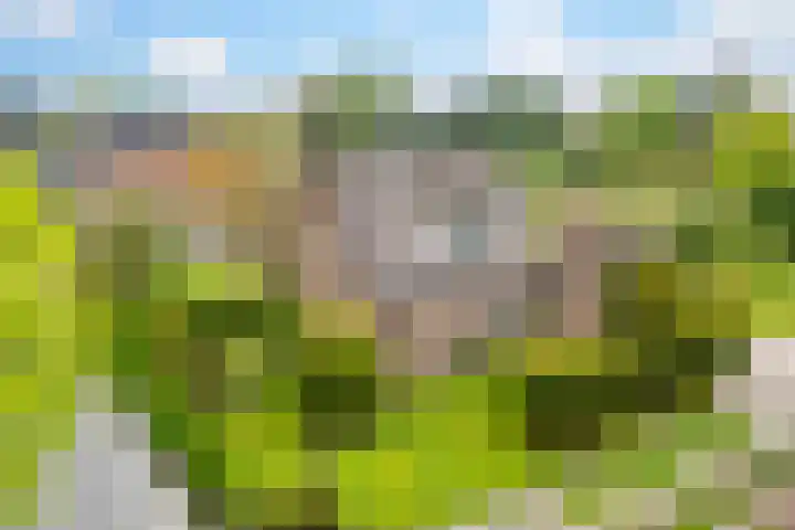 Julianalaan 9 Eefde