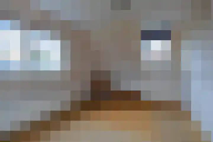 Julianalaan 9 Eefde thumbnail 17