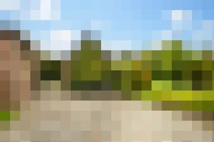 Julianalaan 9 Eefde thumbnail 23