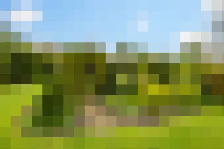 Julianalaan 9 Eefde thumbnail 24