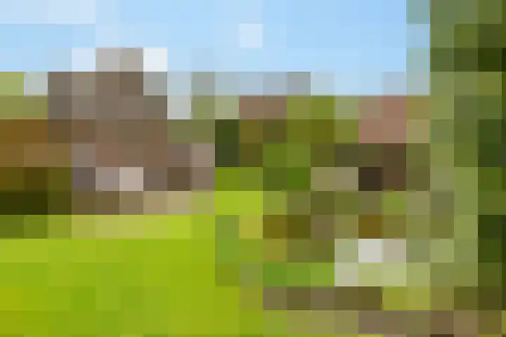 Julianalaan 9 Eefde thumbnail 27