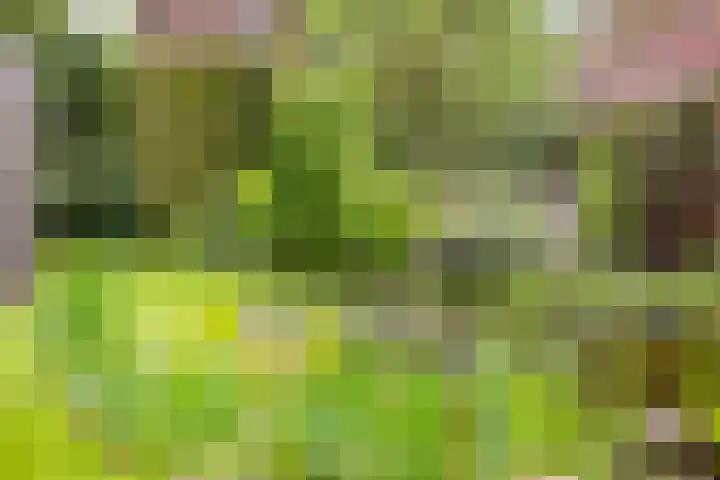 Julianalaan 9 Eefde thumbnail 30