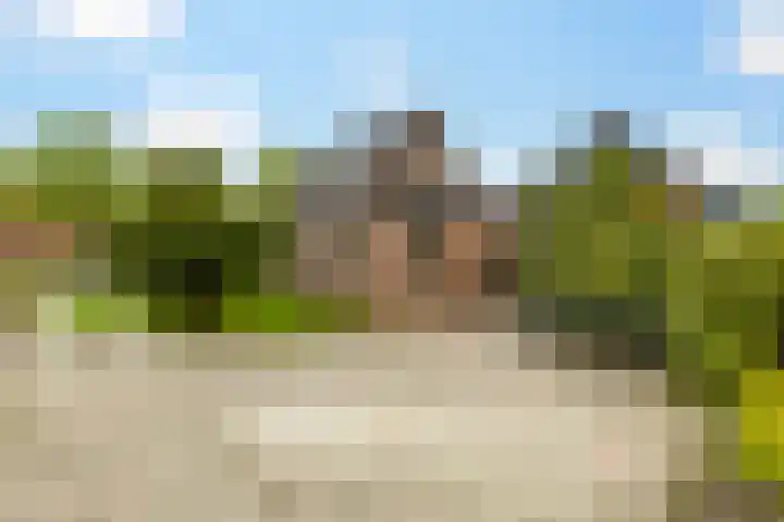 Julianalaan 9 Eefde thumbnail 32