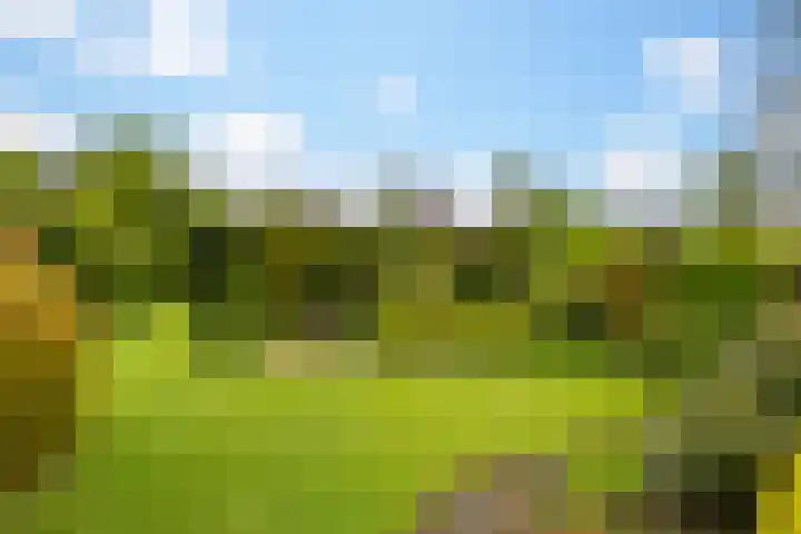 Julianalaan 9 Eefde thumbnail 33