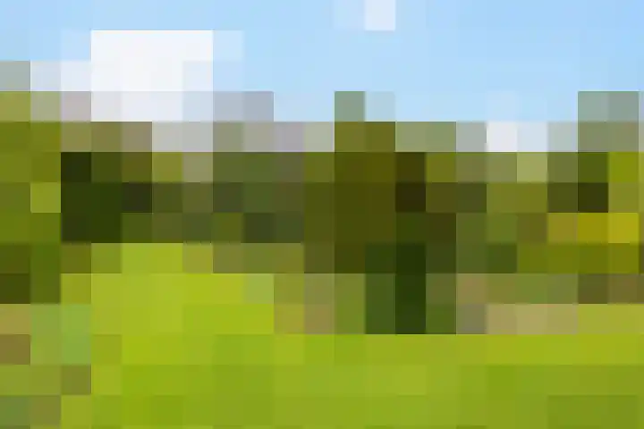 Julianalaan 9 Eefde thumbnail 35