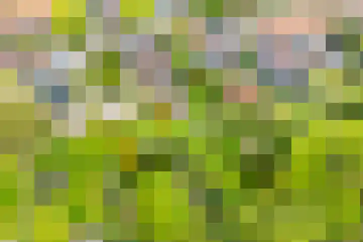 Julianalaan 9 Eefde thumbnail 37