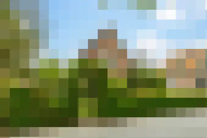 Julianalaan 9 Eefde thumbnail 39