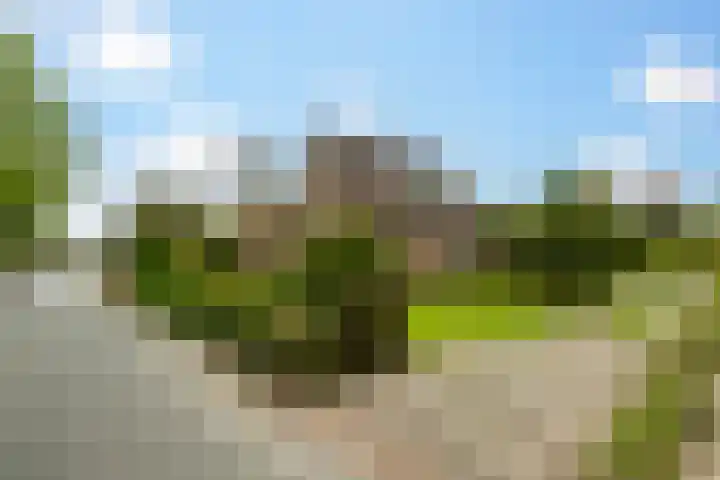 Julianalaan 9 Eefde thumbnail 40