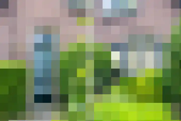 Julianalaan 9 Eefde thumbnail 42