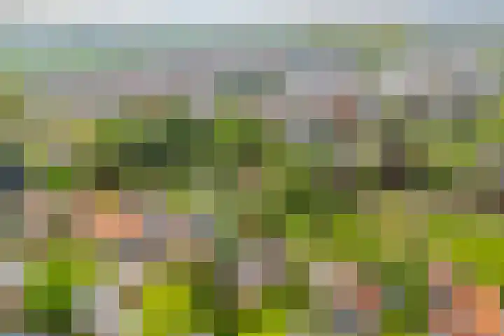 Julianalaan 9 Eefde thumbnail 44