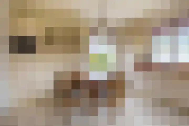 Julianalaan 9 Eefde thumbnail 9