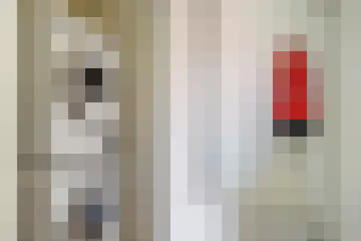 Julianalaan 90 Delft thumbnail 32