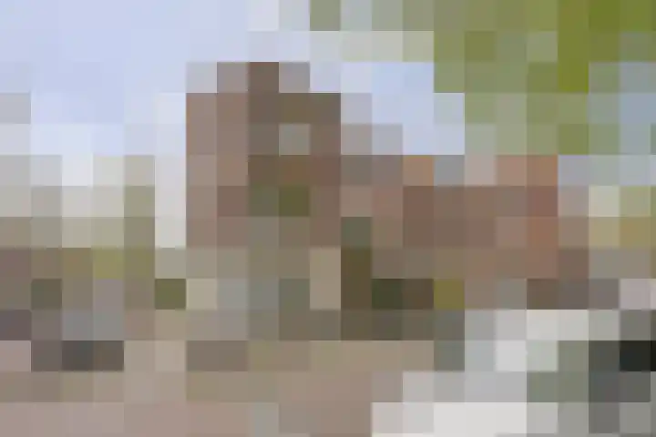 Julianalaan 90 Delft thumbnail 37