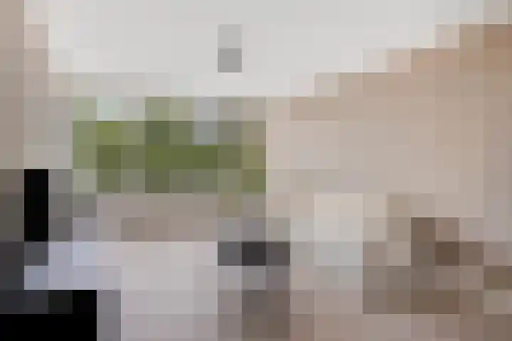 Julianalaan 90 Oss thumbnail 11