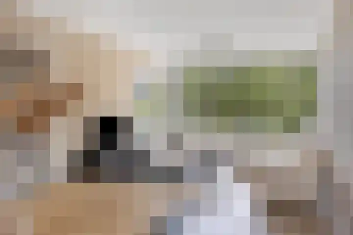 Julianalaan 90 Oss thumbnail 12