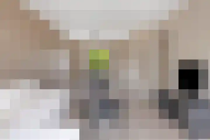 Julianalaan 90 Oss thumbnail 13