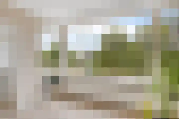 Julianalaan 90 Oss thumbnail 15