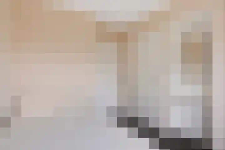 Julianalaan 90 Oss thumbnail 23