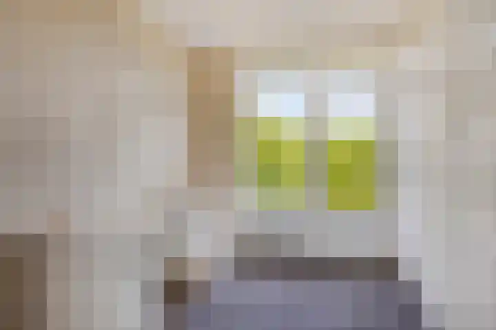 Julianalaan 90 Oss thumbnail 26