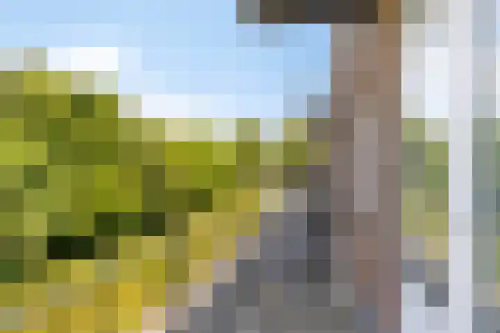 Julianalaan 90 Oss thumbnail 27