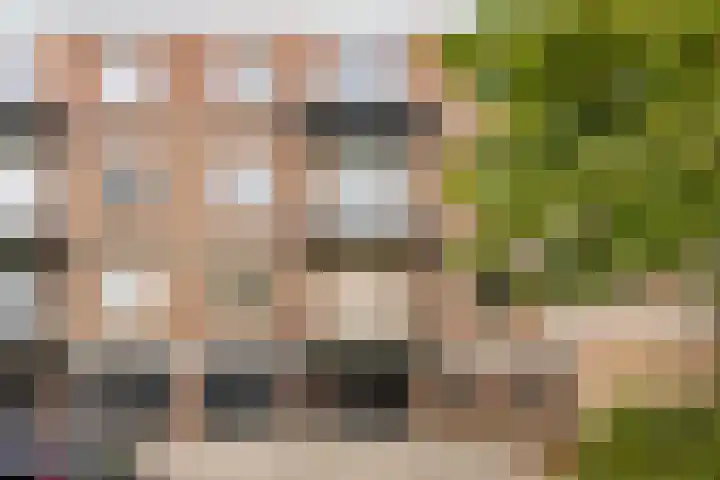 Julianalaan 90 Oss thumbnail 30