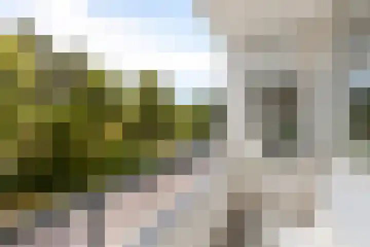Julianalaan 90 Oss thumbnail 4