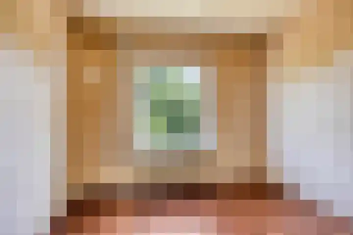 Julianalaan 96 Oss thumbnail 11