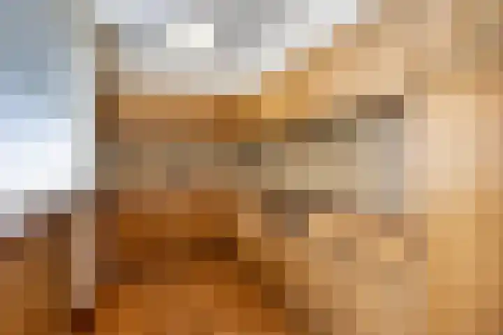 Julianalaan 96 Oss thumbnail 13