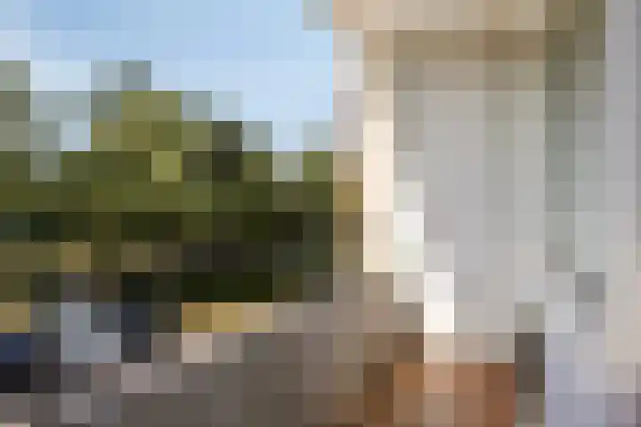 Julianalaan 96 Oss thumbnail 15