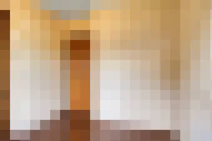 Julianalaan 96 Oss thumbnail 19