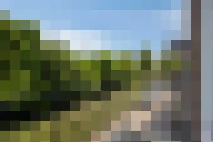 Julianalaan 96 Oss thumbnail 22