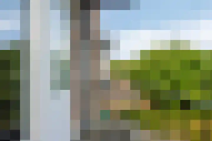 Julianalaan 96 Oss thumbnail 23