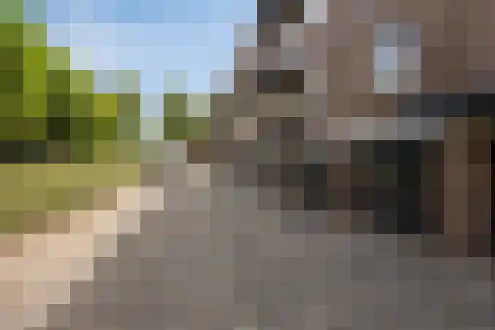 Julianalaan 96 Oss thumbnail 26