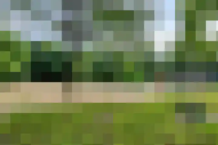 Julianalaan 96 Oss thumbnail 27
