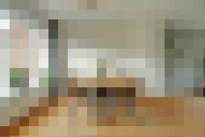 Julianaplein 19 Bladel thumbnail 11