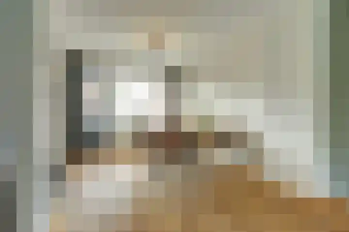 Julianaplein 19 Bladel thumbnail 14