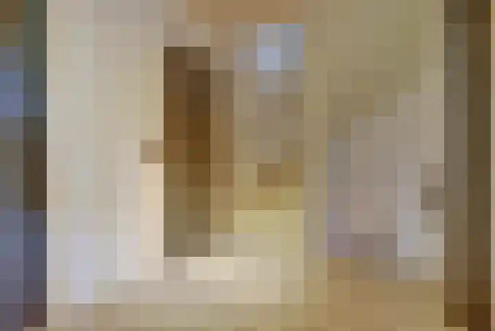 Julianaplein 19 Bladel thumbnail 21