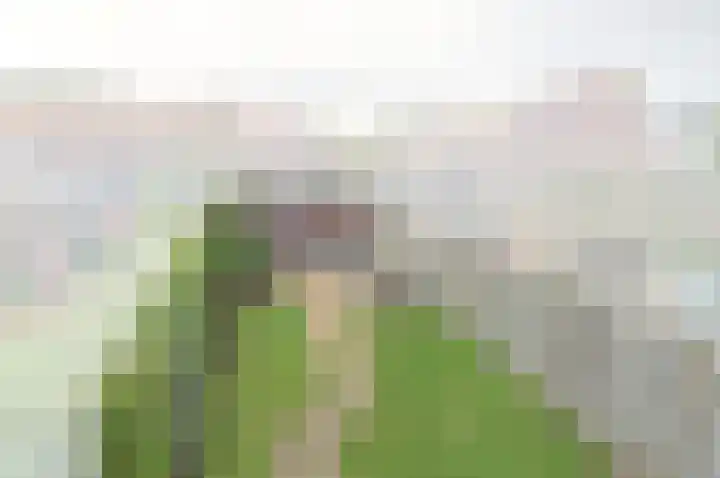 Julianaplein 19 Bladel thumbnail 26