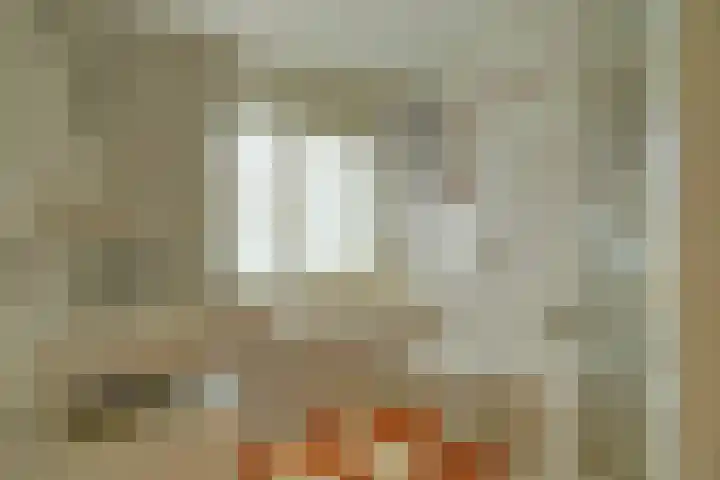 Julianaplein 19 Bladel thumbnail 30