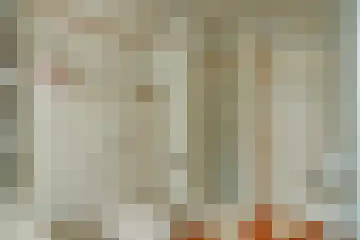 Julianaplein 19 Bladel thumbnail 32