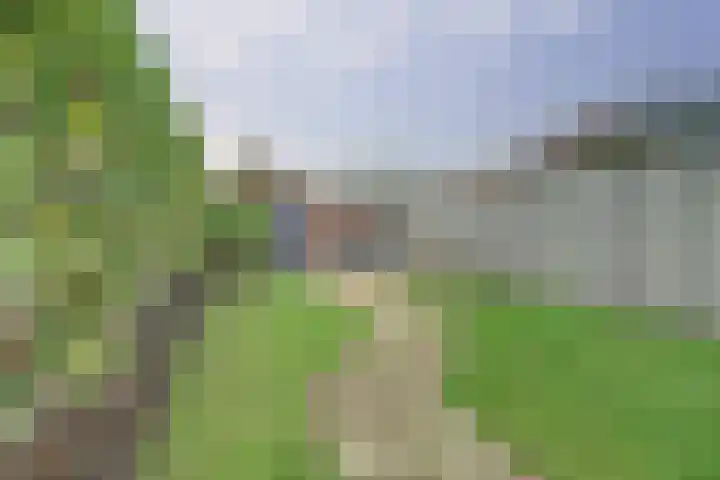 Julianaplein 19 Bladel thumbnail 39