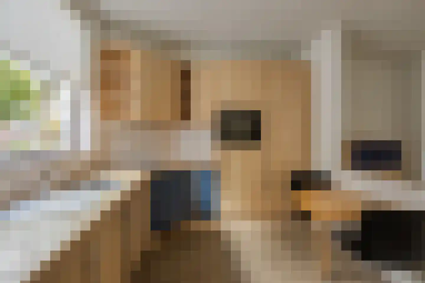 Julianasingel 30 Venray thumbnail 12