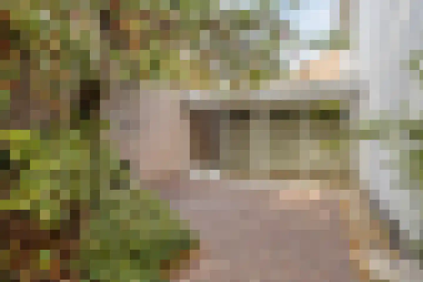 Julianasingel 30 Venray thumbnail 31