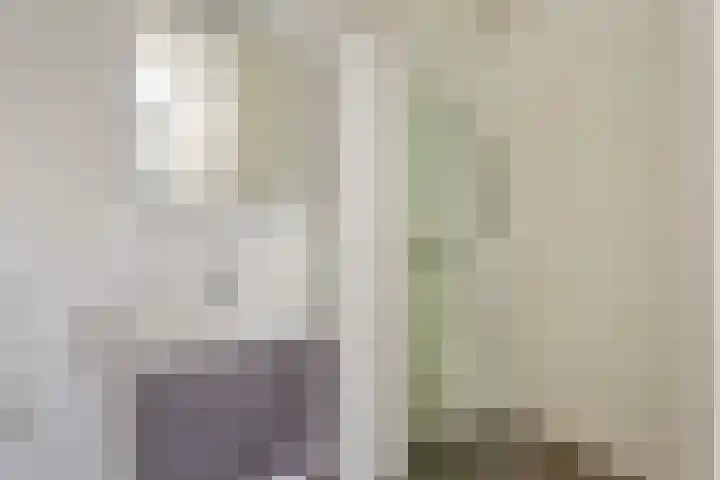 Julianastraat 11 E Uden thumbnail 10