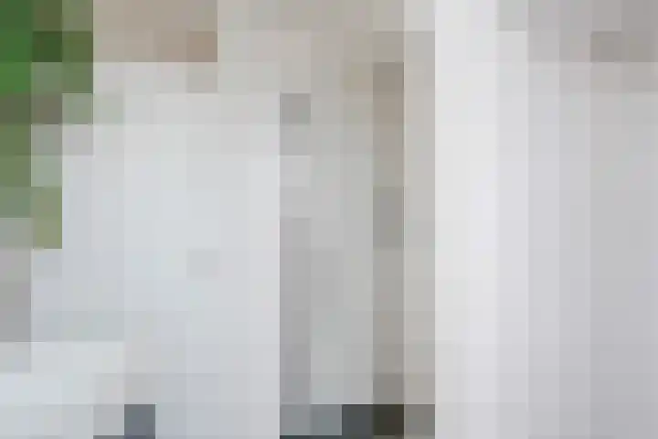 Julianastraat 11 E Uden thumbnail 18
