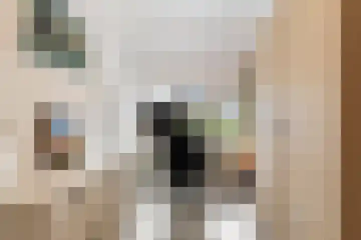 Julianastraat 11 E Uden thumbnail 22